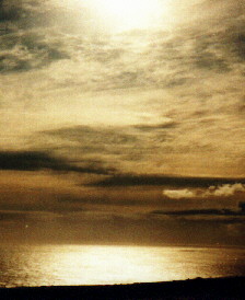 Meer